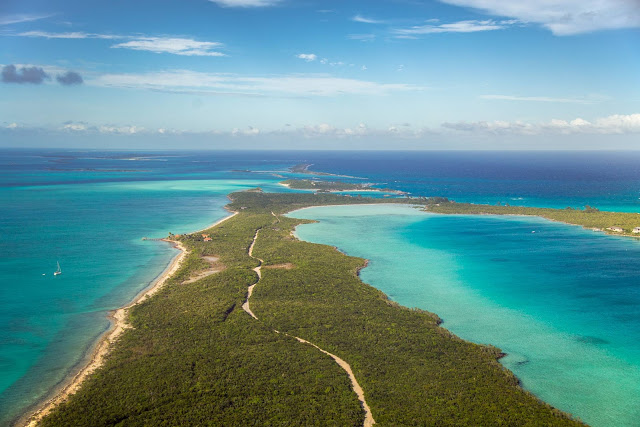 The Curious Life of Out Islanders