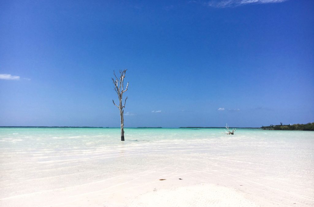 Kiteboarding in Harbour Island, Bahamas